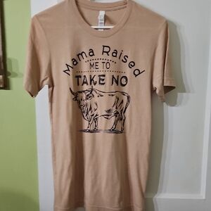 Bella Canvas Beige "Mama Raised Me To Take No Bull" Graphic Tee
